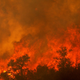Flames rise up from the Rodeo/Chediski fire near Cibecue, Arizona on June 28, 2002.